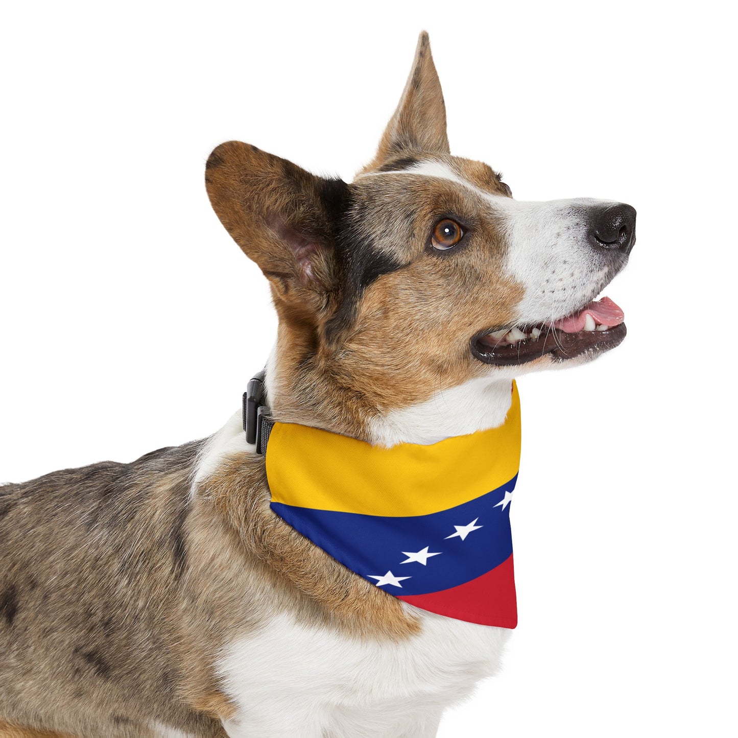 Venezuela Pet Bandana Collar | Venezuelan Flag Dog Cat Animal