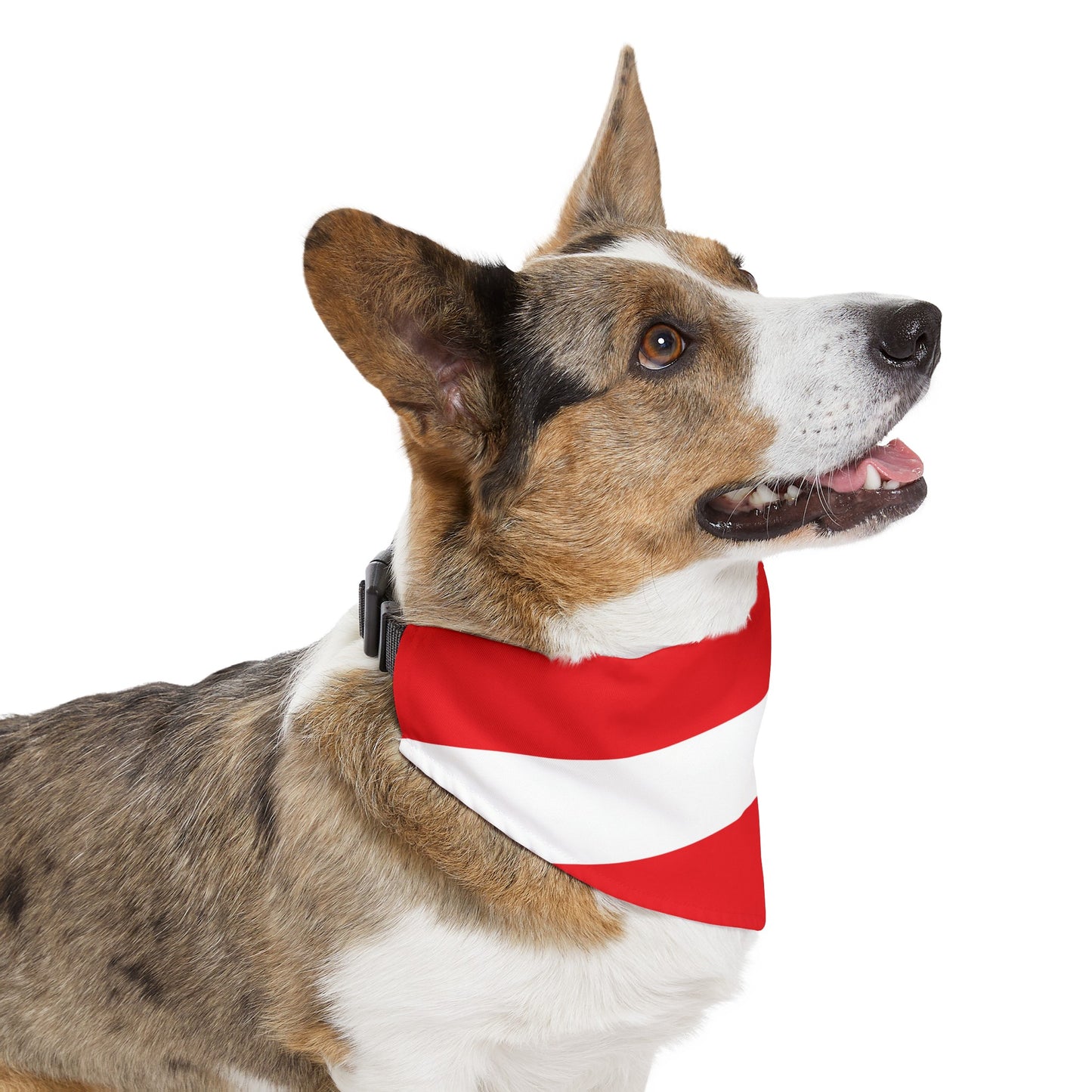 Austria Pet Bandana Collar | Austrian Dog Cat Animal