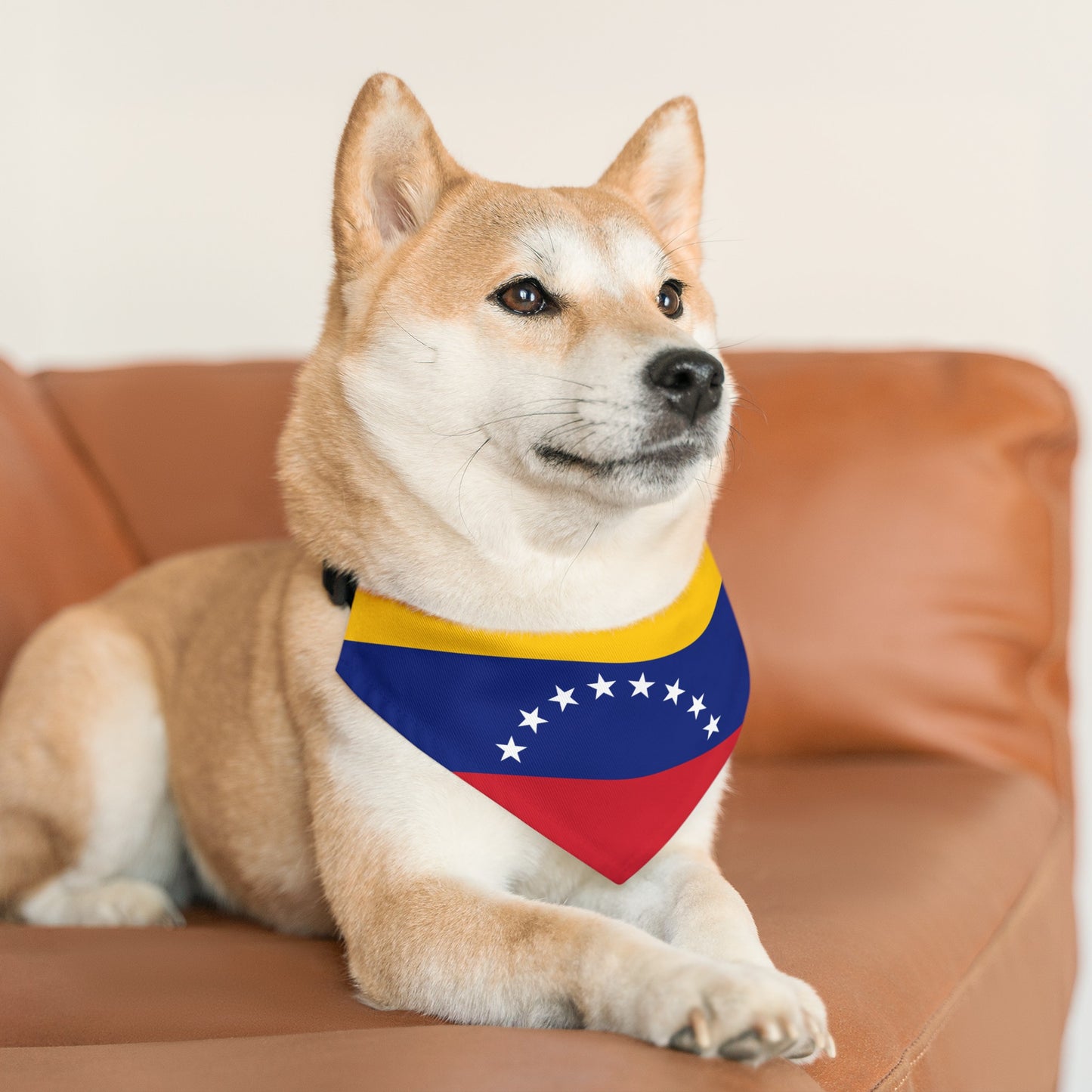 Venezuela Pet Bandana Collar | Venezuelan Flag Dog Cat Animal