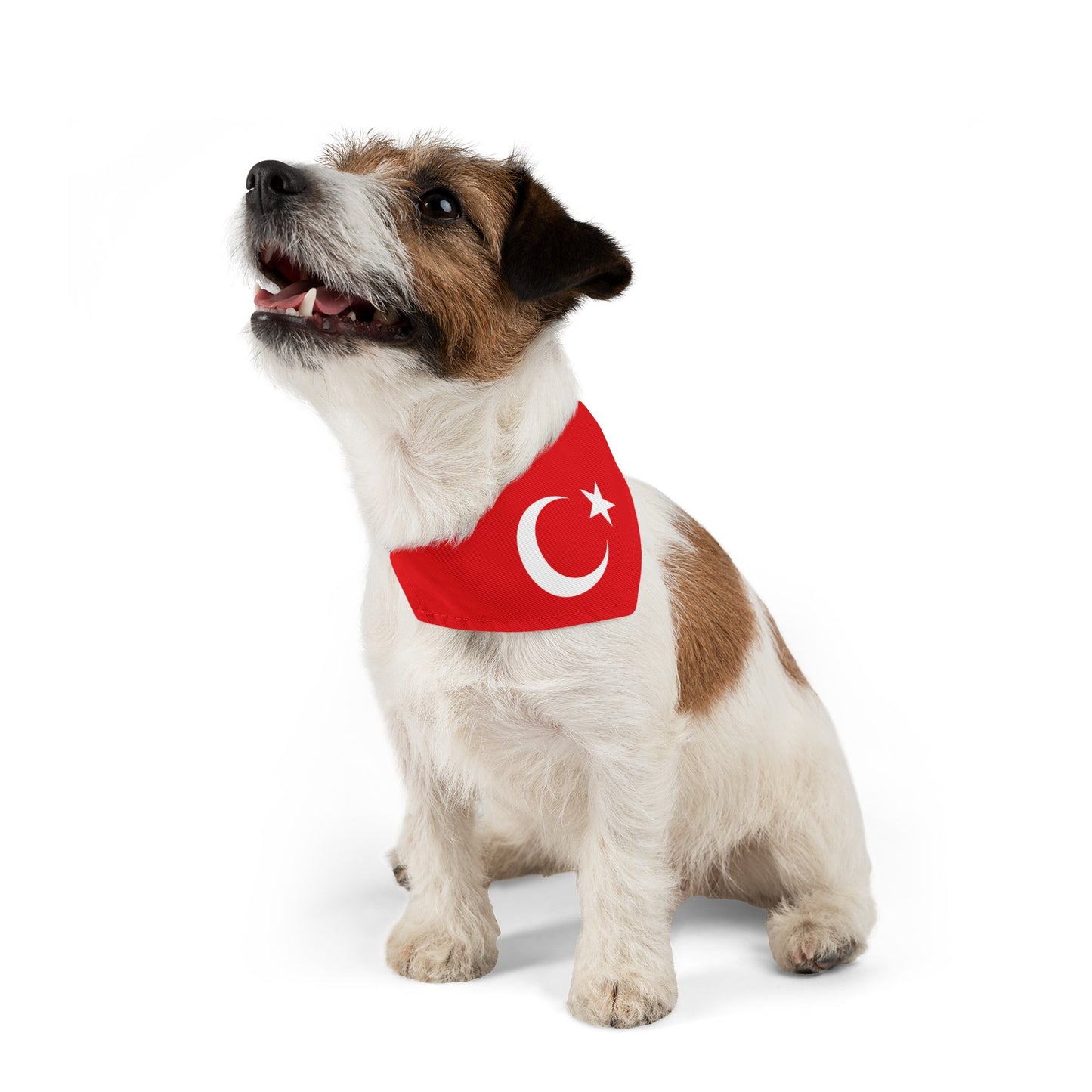 Turkey Pet Bandana Collar | Turkish Flag Dog Cat Animal