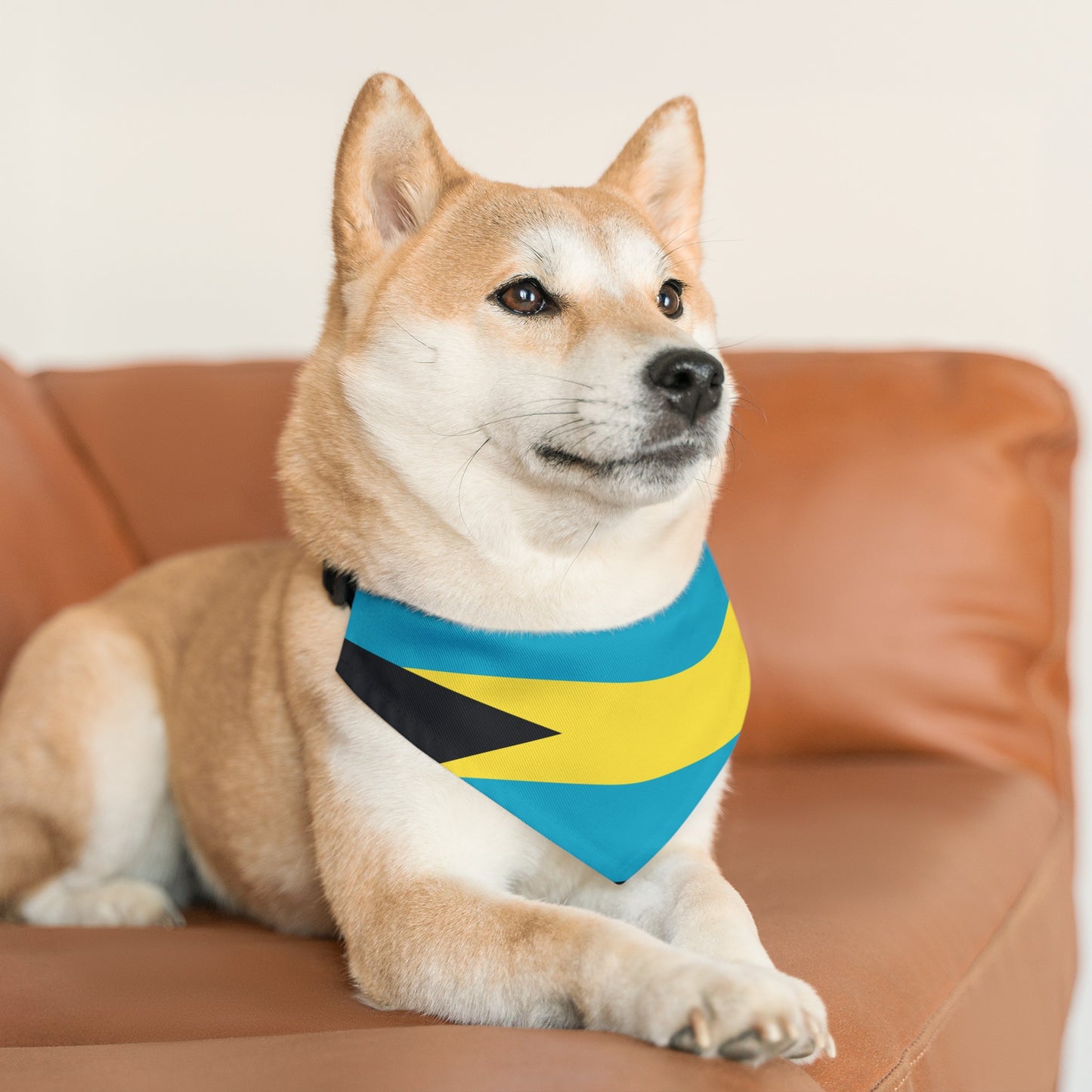 Bahamas Flag Pet Bandana Collar | Bahamian Dog Cat Animal