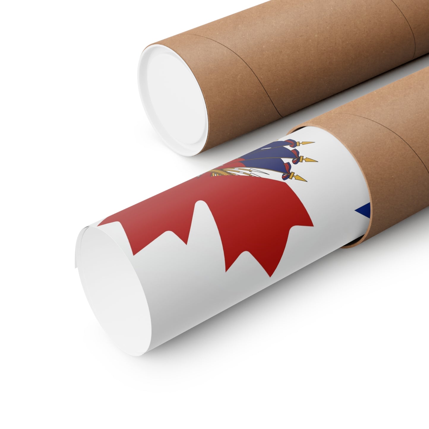 Haitian Canadian Flag | Half Haiti Canada Canadien Premium Matte Poster