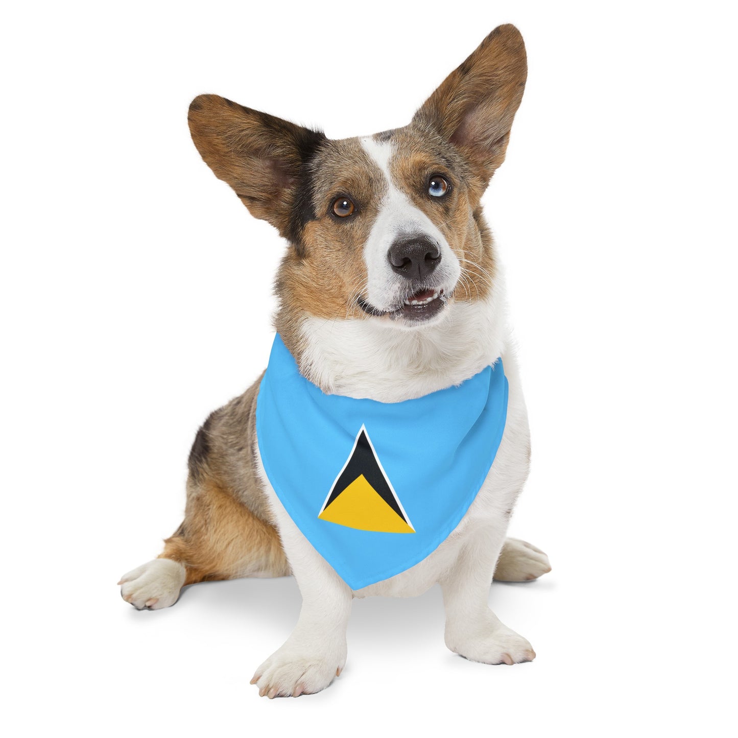 St. Lucian Pet Bandana Collar | St. Lucia Flag Dog Cat Animal