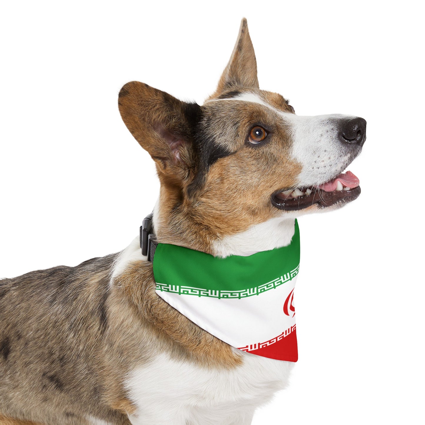 Iranian Pet Bandana Collar | Iran Dog Cat Animal