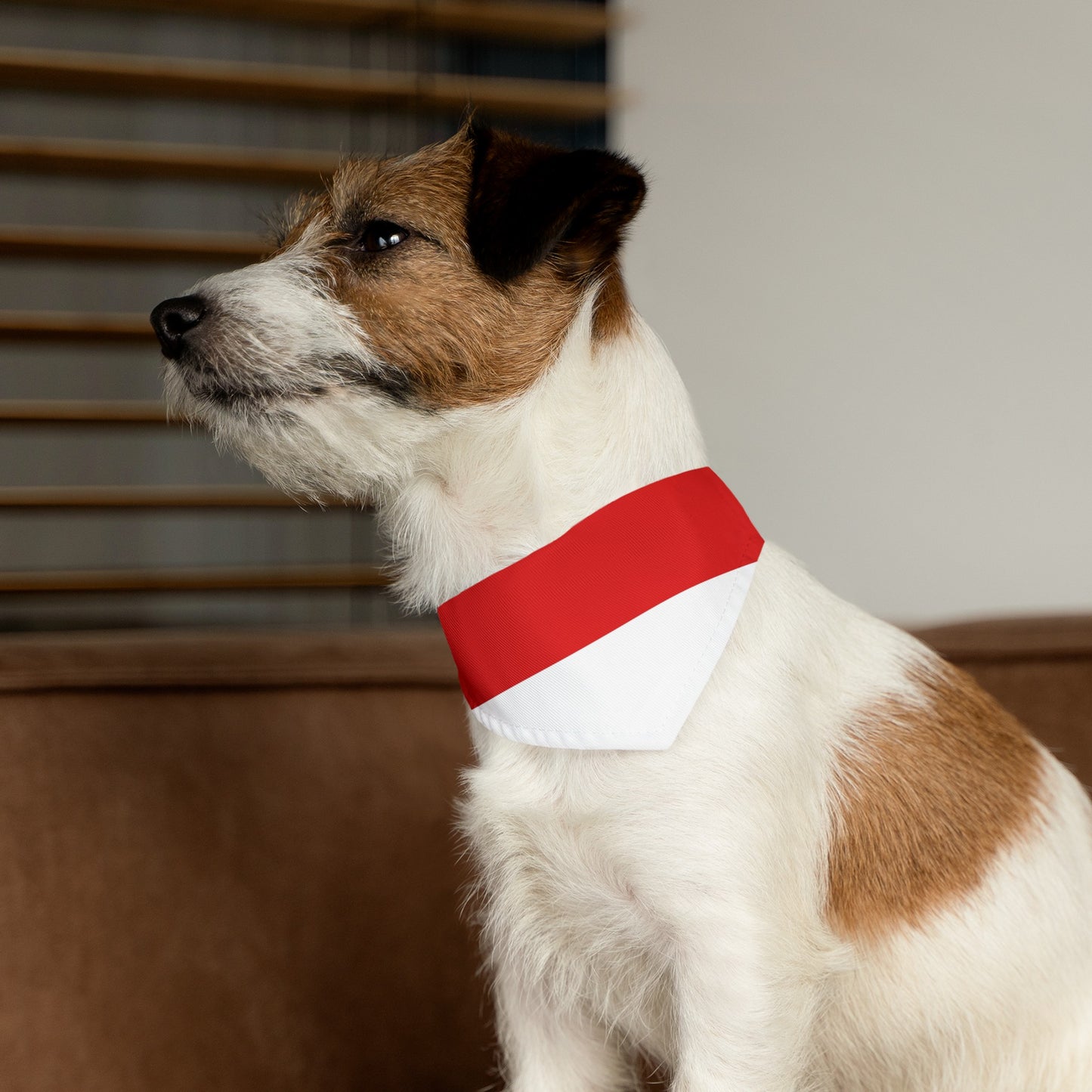 Indonesia Flag Pet Bandana Collar Indonesian Dog Cat