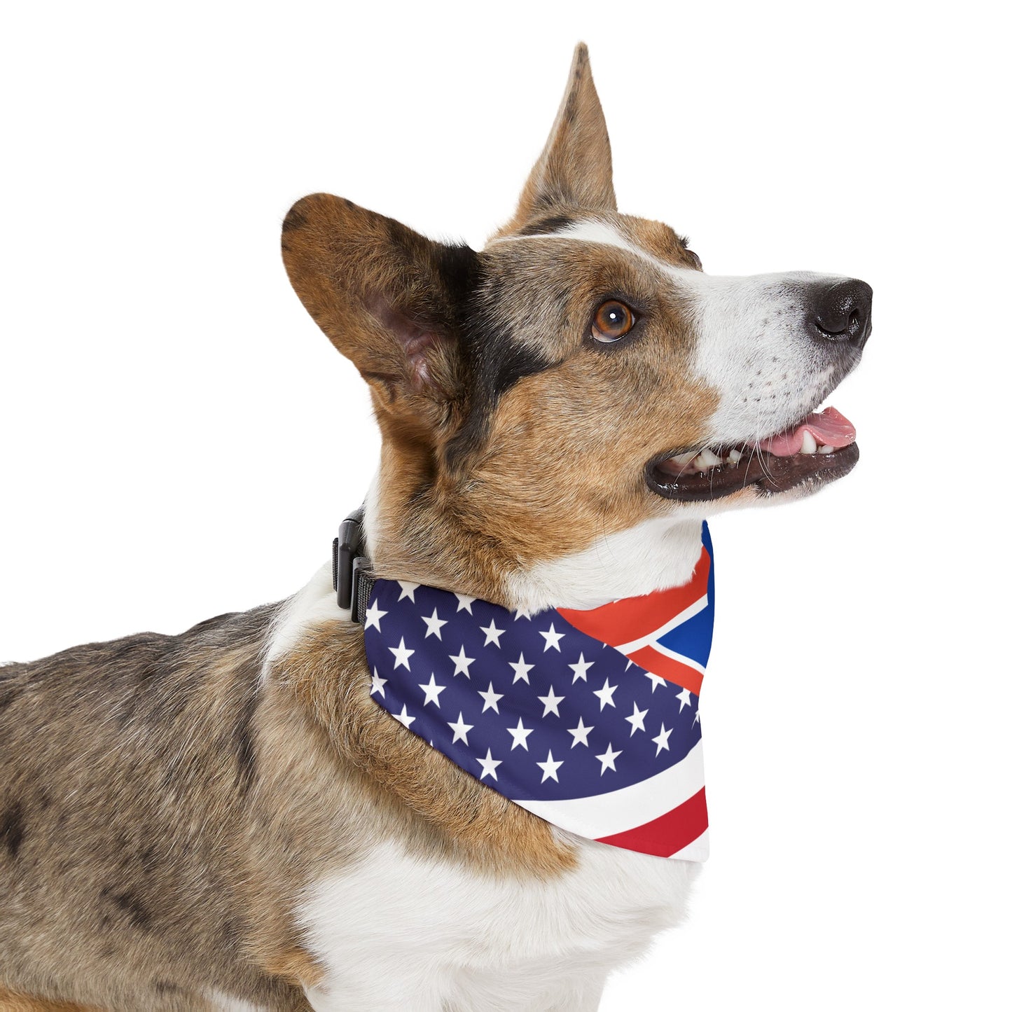 Anguilla American Flag Pet Bandana Collar | Anguillan Dog Cat Animal