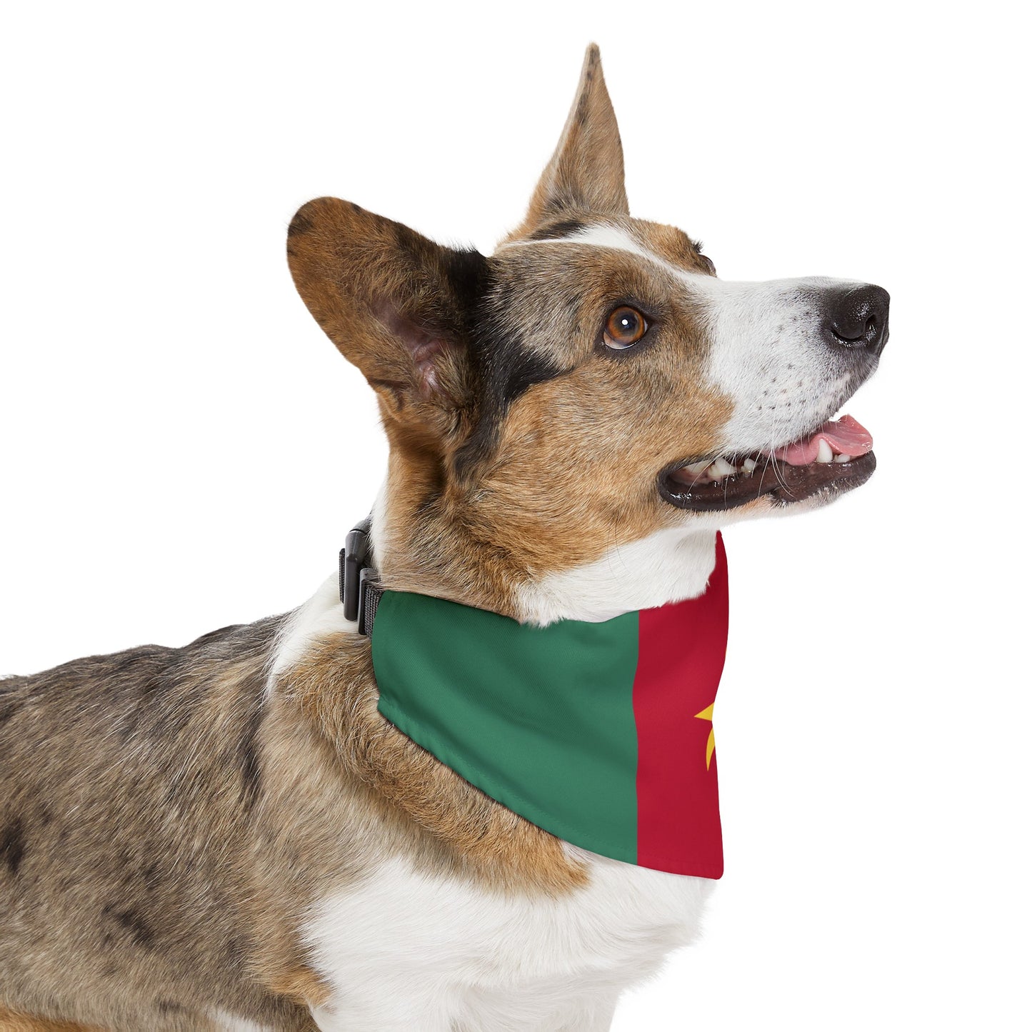 Cameroon Pet Bandana Collar | Cameroonian flag Dog Cat Animal