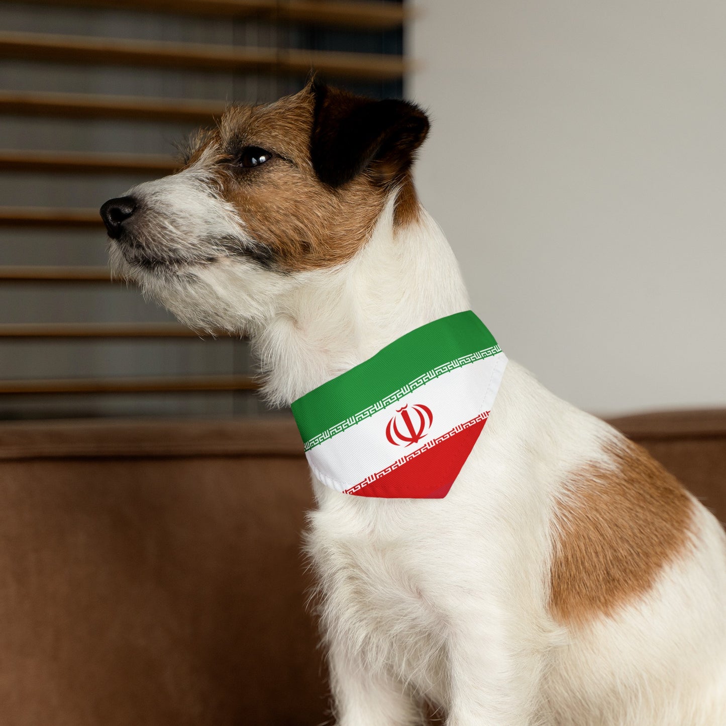 Iranian Pet Bandana Collar | Iran Dog Cat Animal