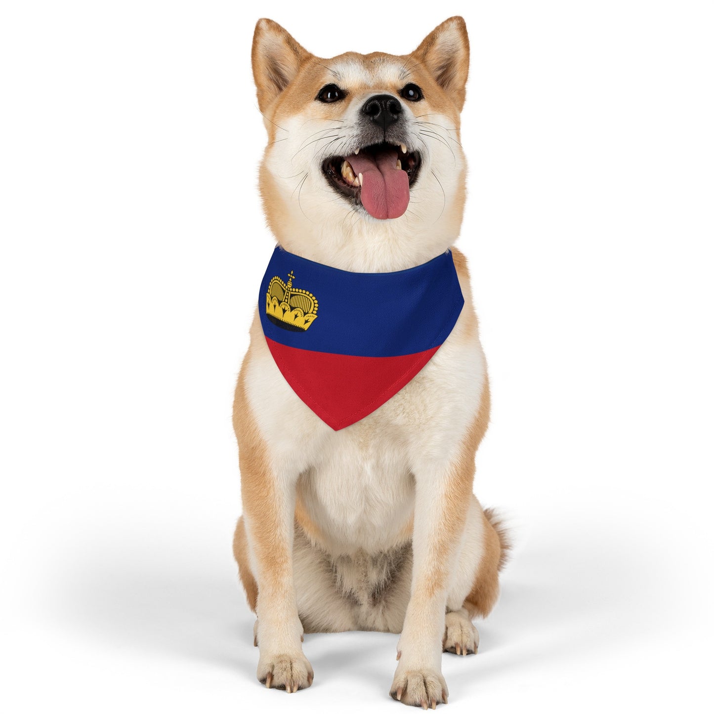 Liechtenstein Flag Pet Dog Cat Animal Bandana Collar