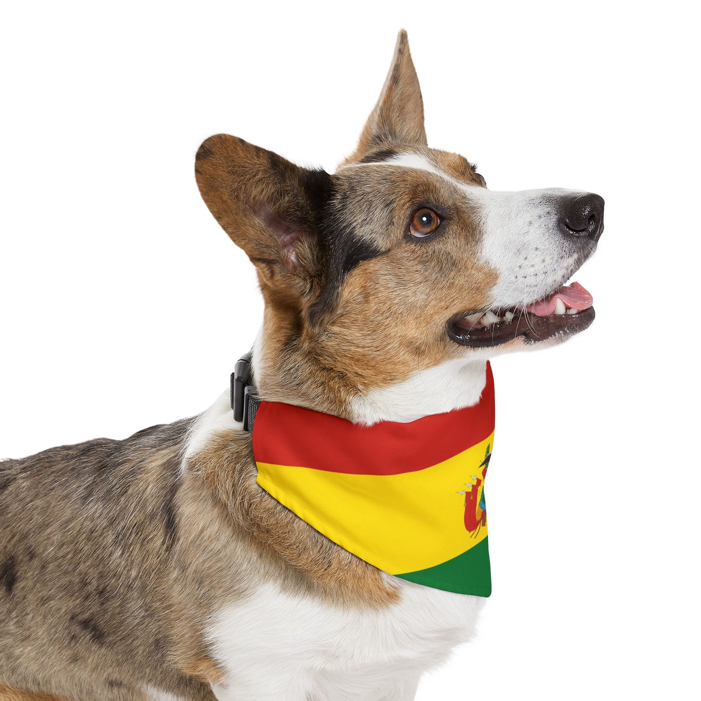 Bolivia Pet Dog Cat Animal Bandana Collar Bolivian