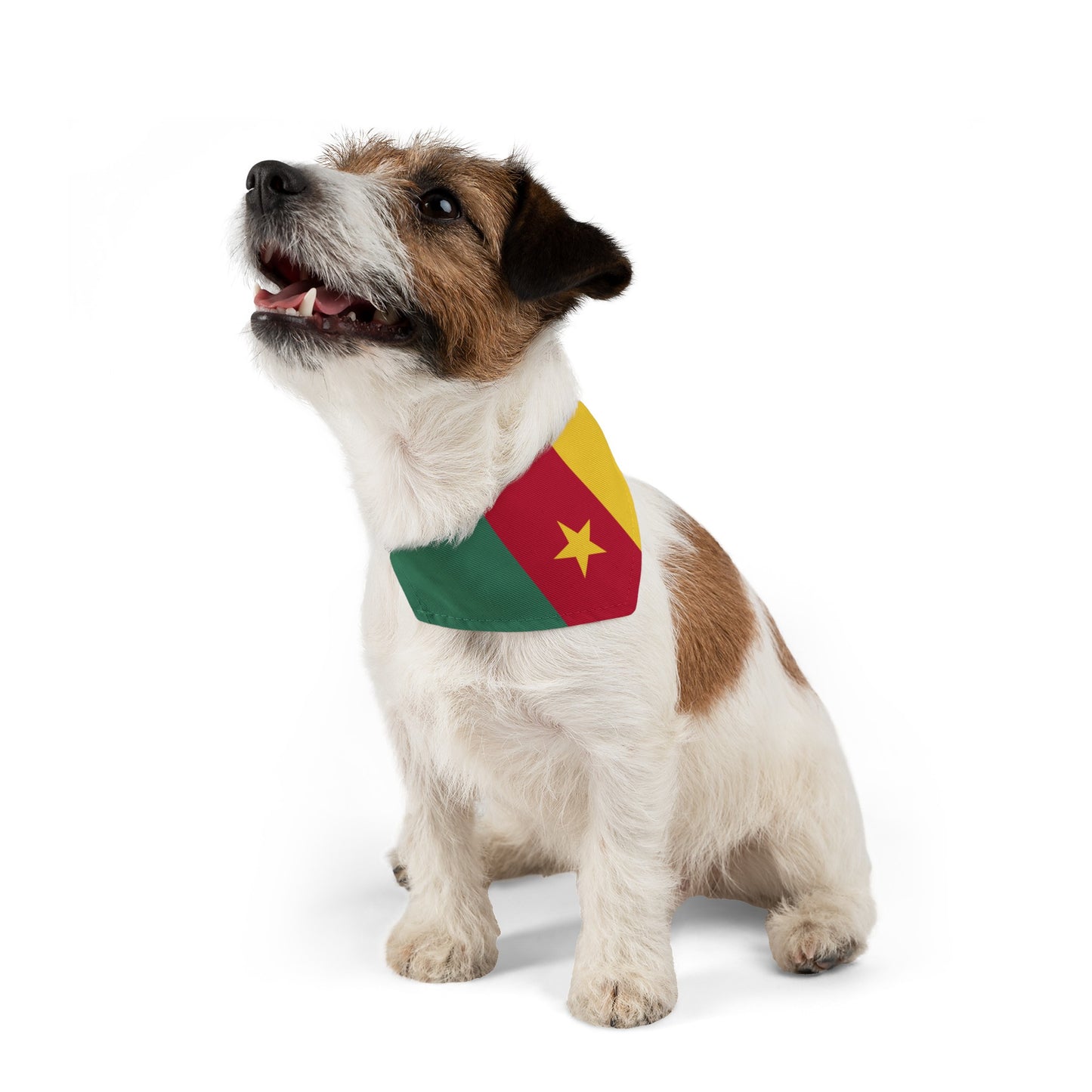 Cameroon Pet Bandana Collar | Cameroonian flag Dog Cat Animal