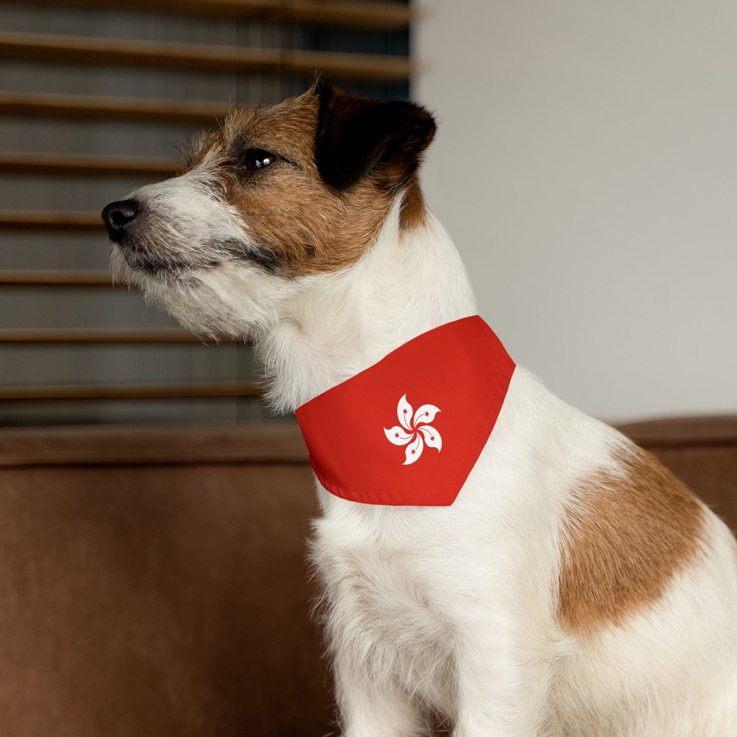 Hong Kong Pet Bandana Collar | Dog Cat Animal