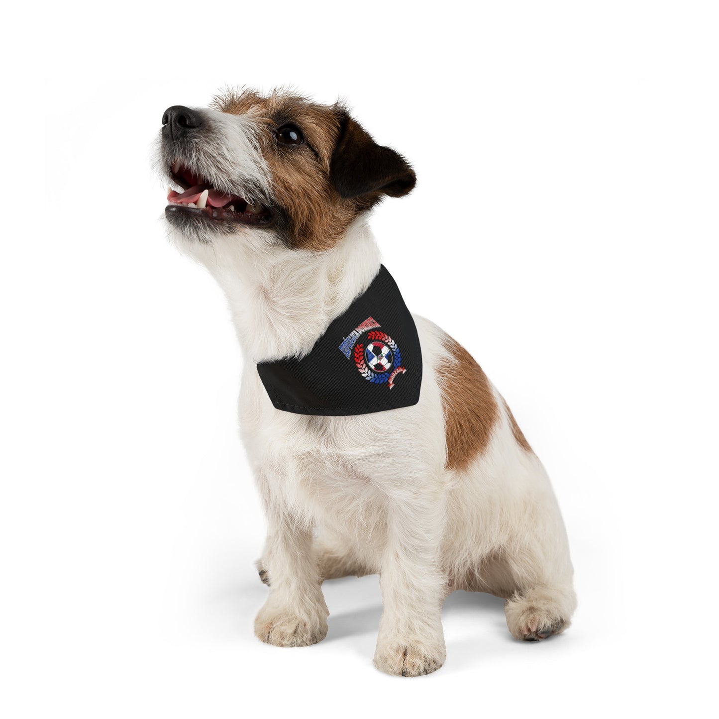 Republica Dominica 2024 Soccer Football Championship Games Dominican DR Team Pet Bandana Collar