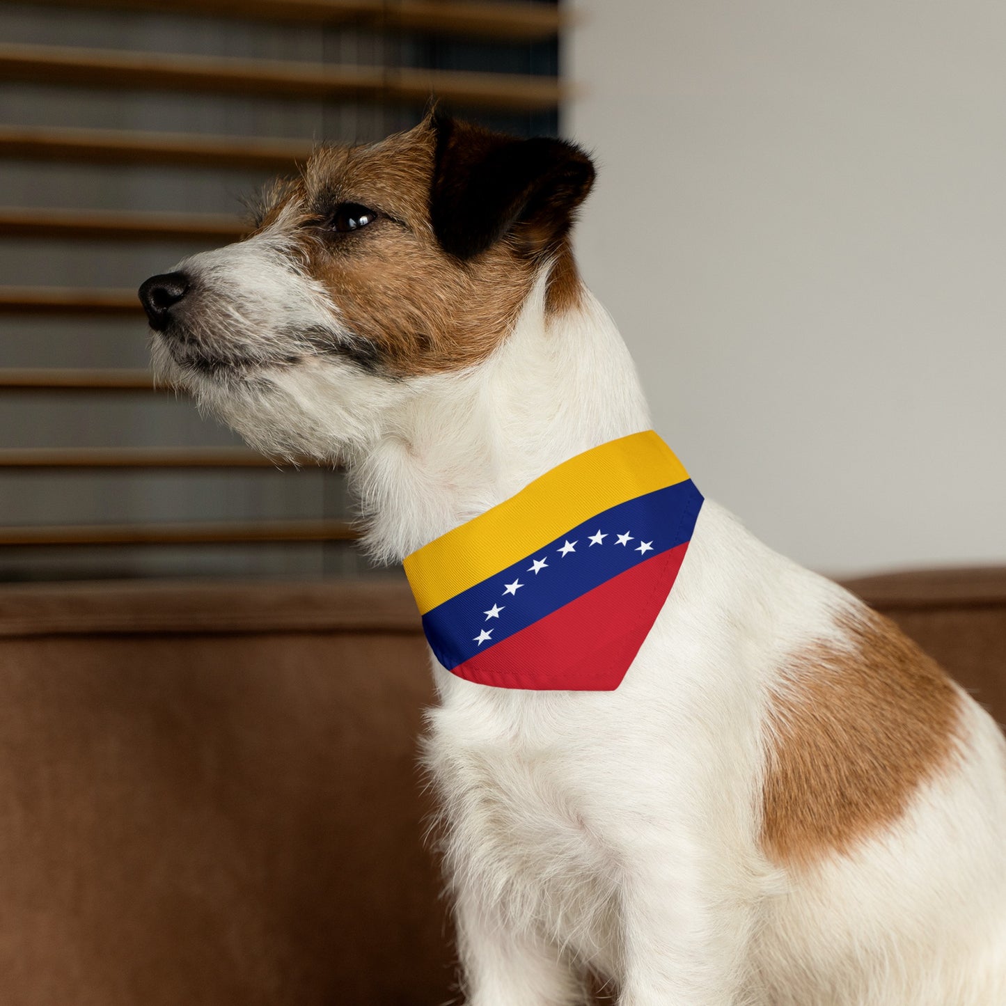 Venezuela Pet Bandana Collar | Venezuelan Flag Dog Cat Animal