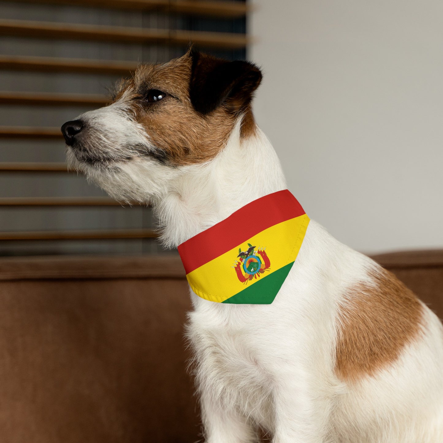 Bolivia Pet Dog Cat Animal Bandana Collar Bolivian