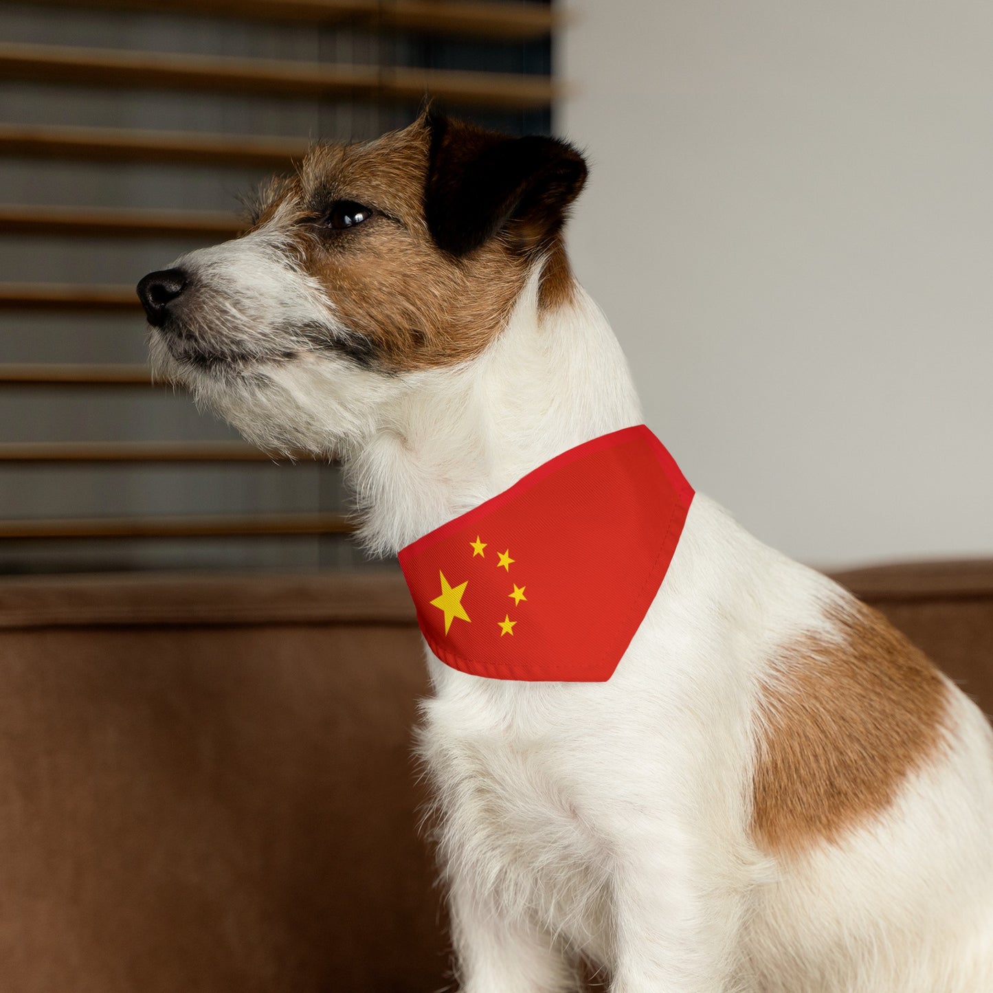 China Pet Bandana Collar Chinese Flag Dog Cat