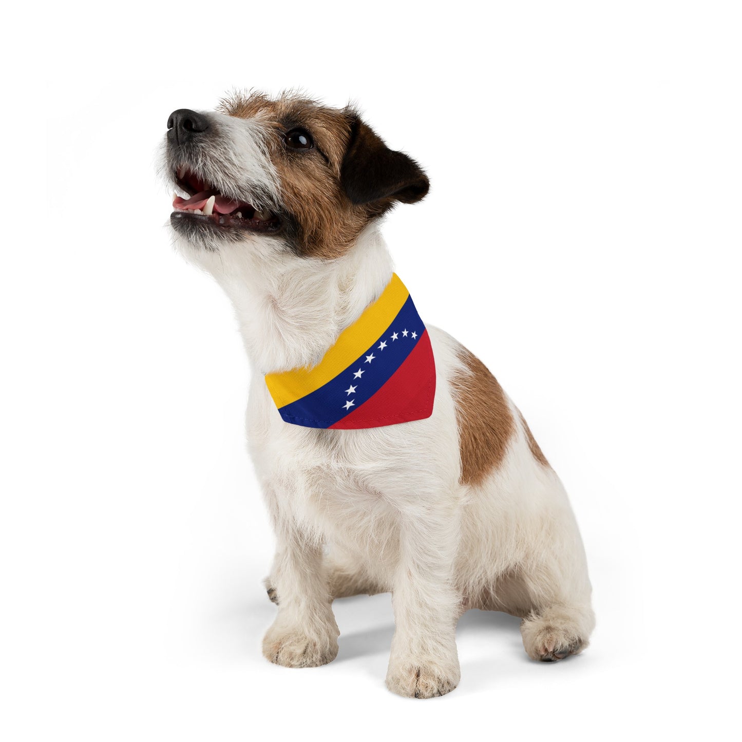 Venezuela Pet Bandana Collar | Venezuelan Flag Dog Cat Animal