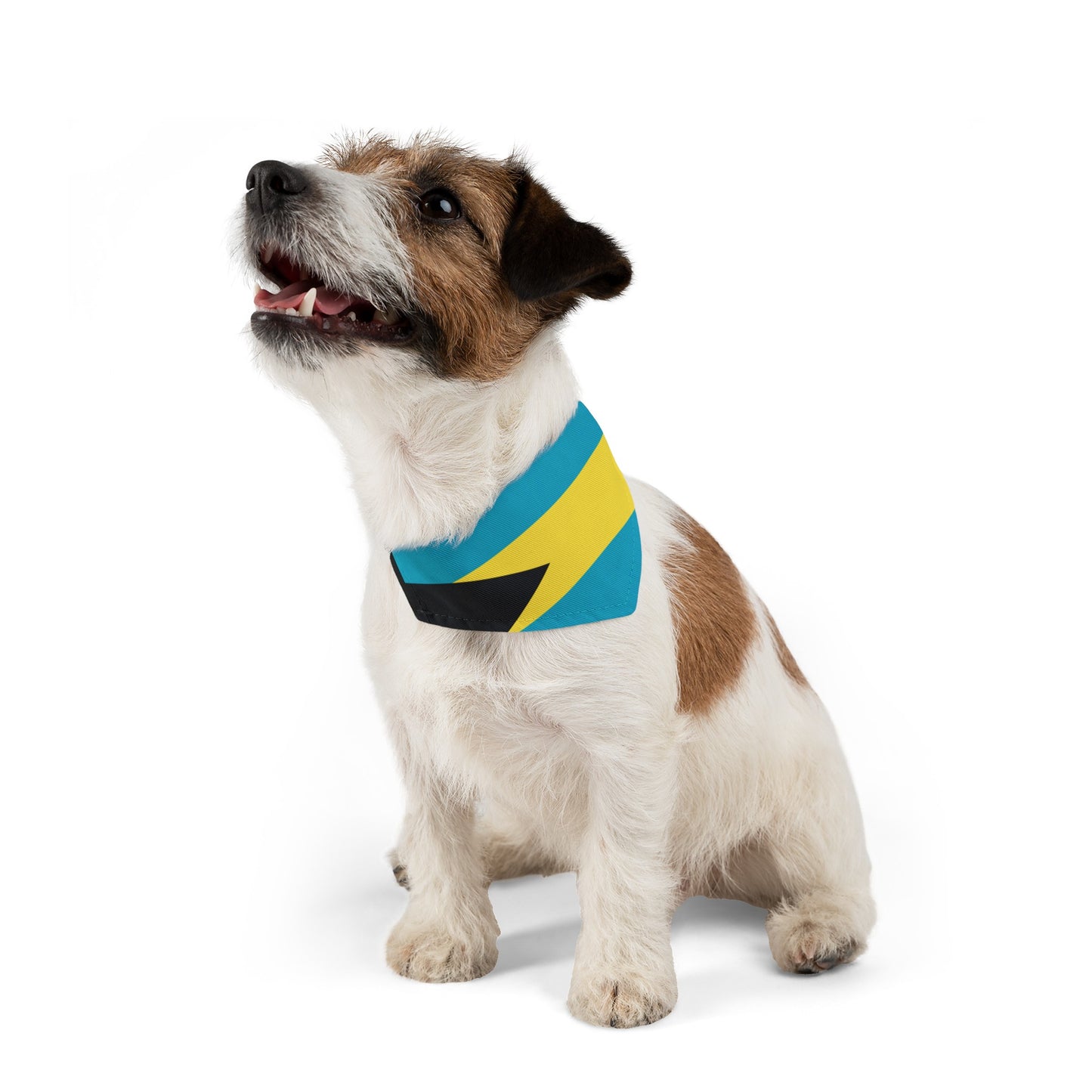 Bahamas Flag Pet Bandana Collar | Bahamian Dog Cat Animal