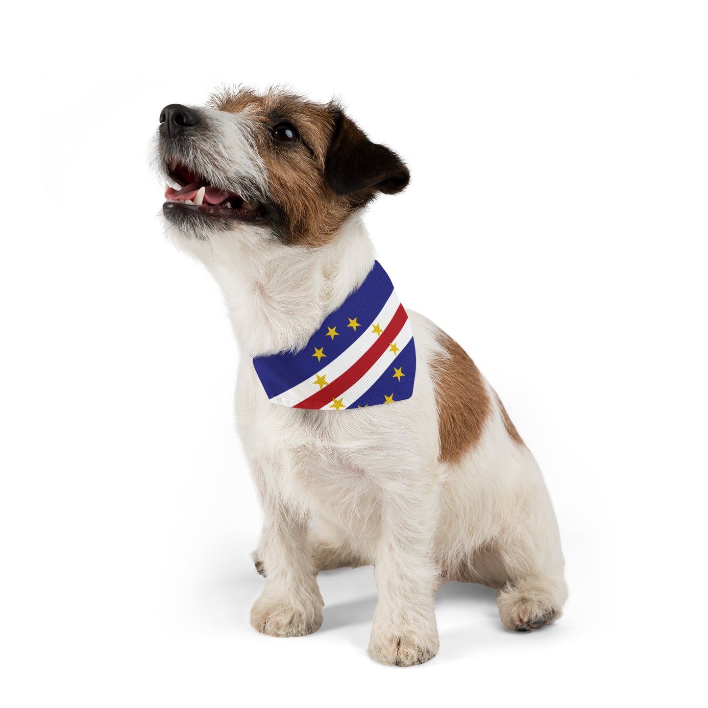 Cape Verde Flag Pet Bandana Collar | Animal Cat Dog Collar Cape Verdean