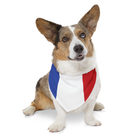 France Pet Bandana Collar French Dog Cat