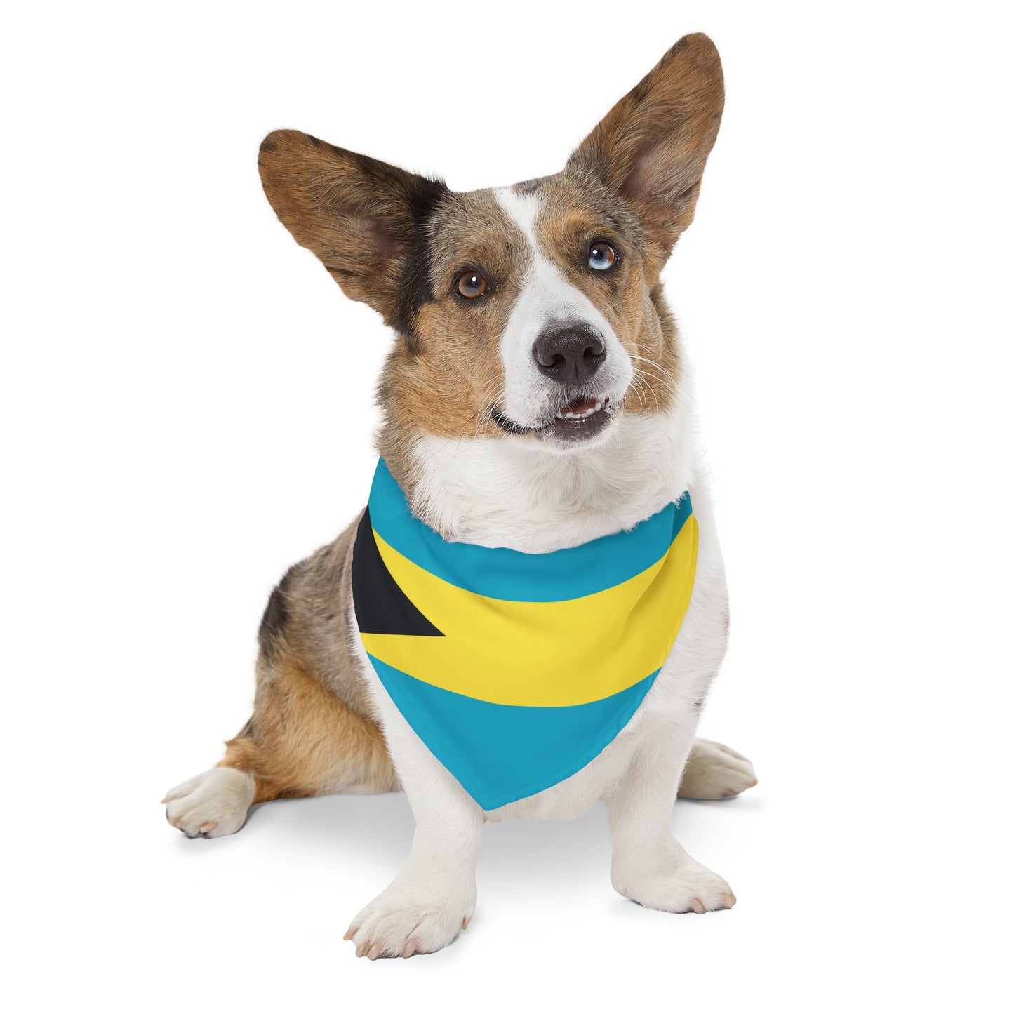 Bahamas Flag Pet Bandana Collar | Bahamian Dog Cat Animal