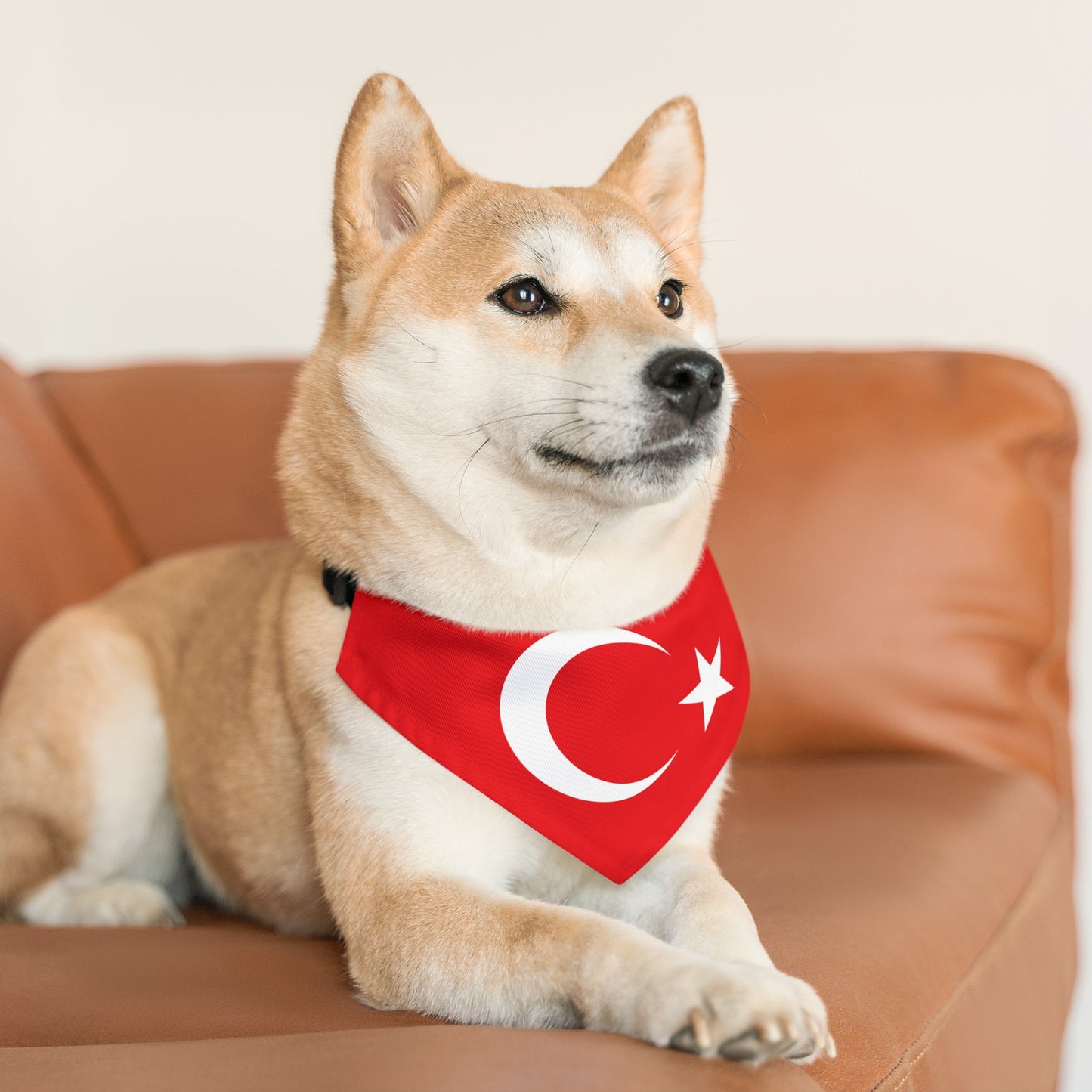 Turkey Pet Bandana Collar | Turkish Flag Dog Cat Animal