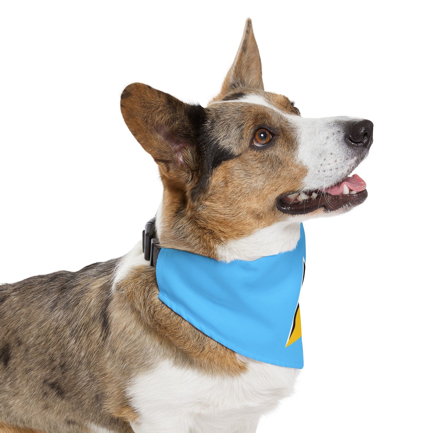 St. Lucian Pet Bandana Collar | St. Lucia Flag Dog Cat Animal