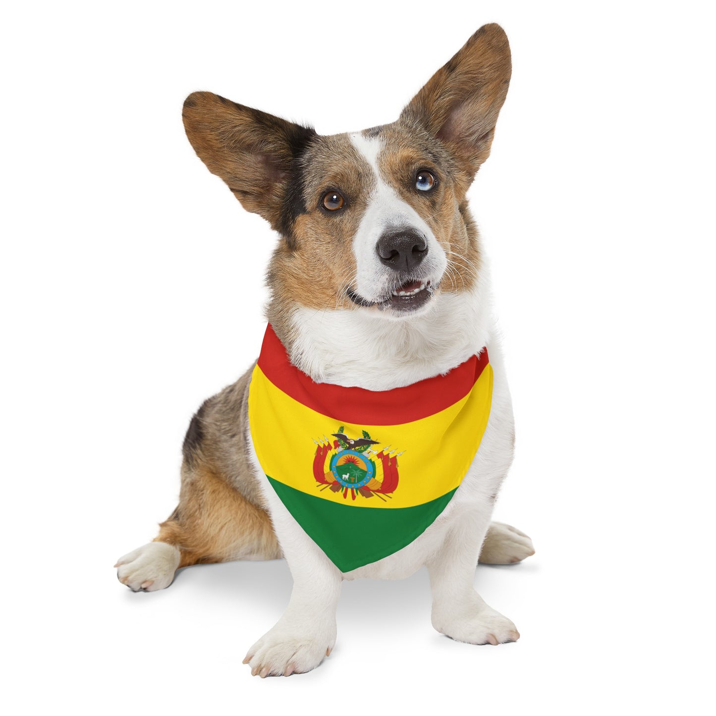 Bolivia Pet Dog Cat Animal Bandana Collar Bolivian