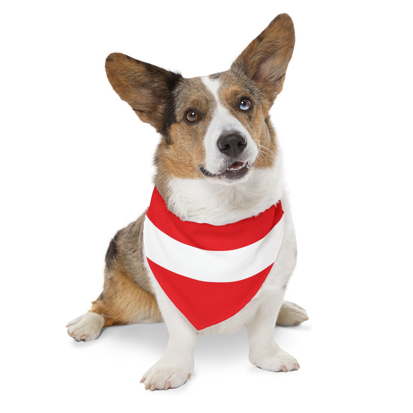 Austria Pet Bandana Collar | Austrian Dog Cat Animal