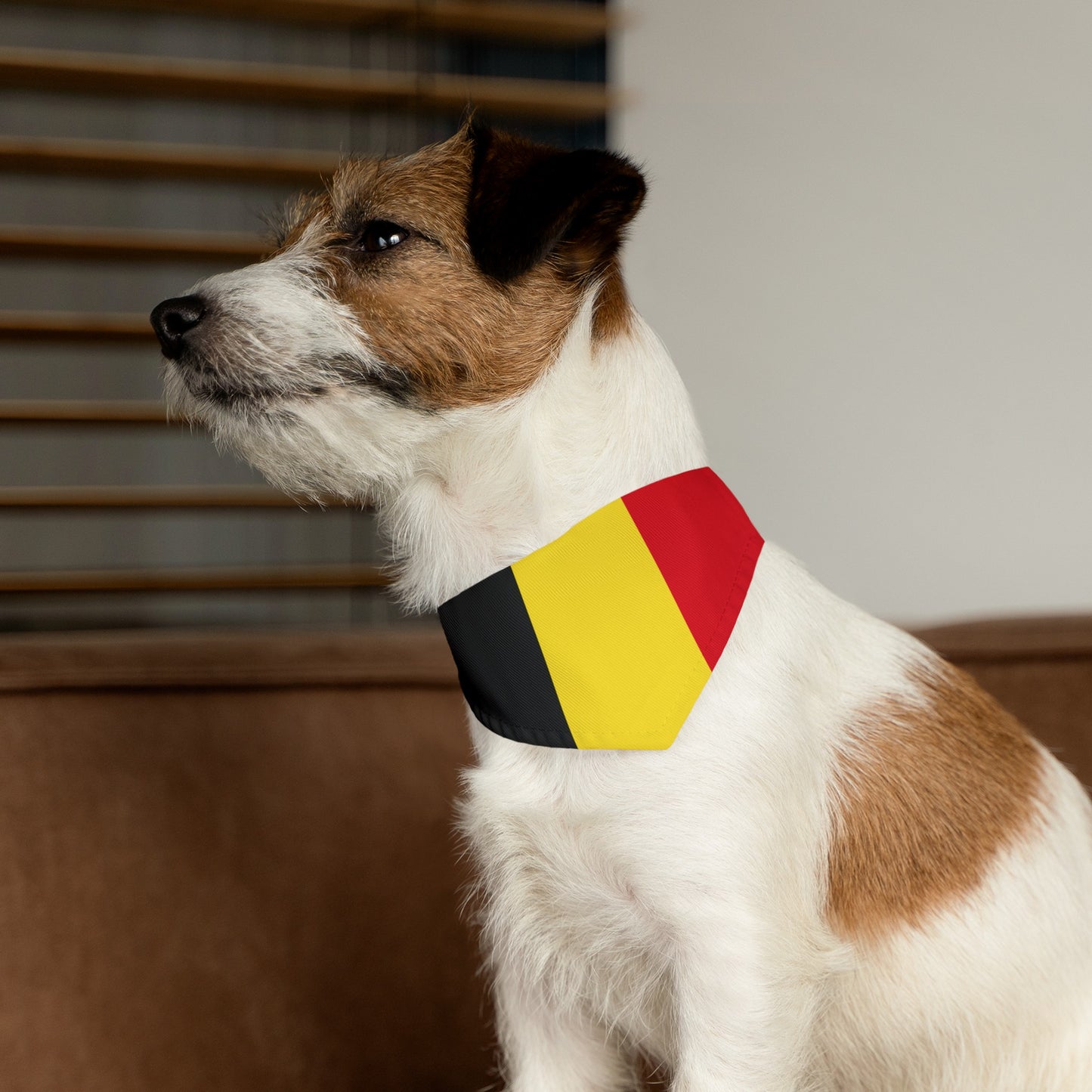 Belgium Pet Bandana Collar | Belgian Flag Dog Cat Animal