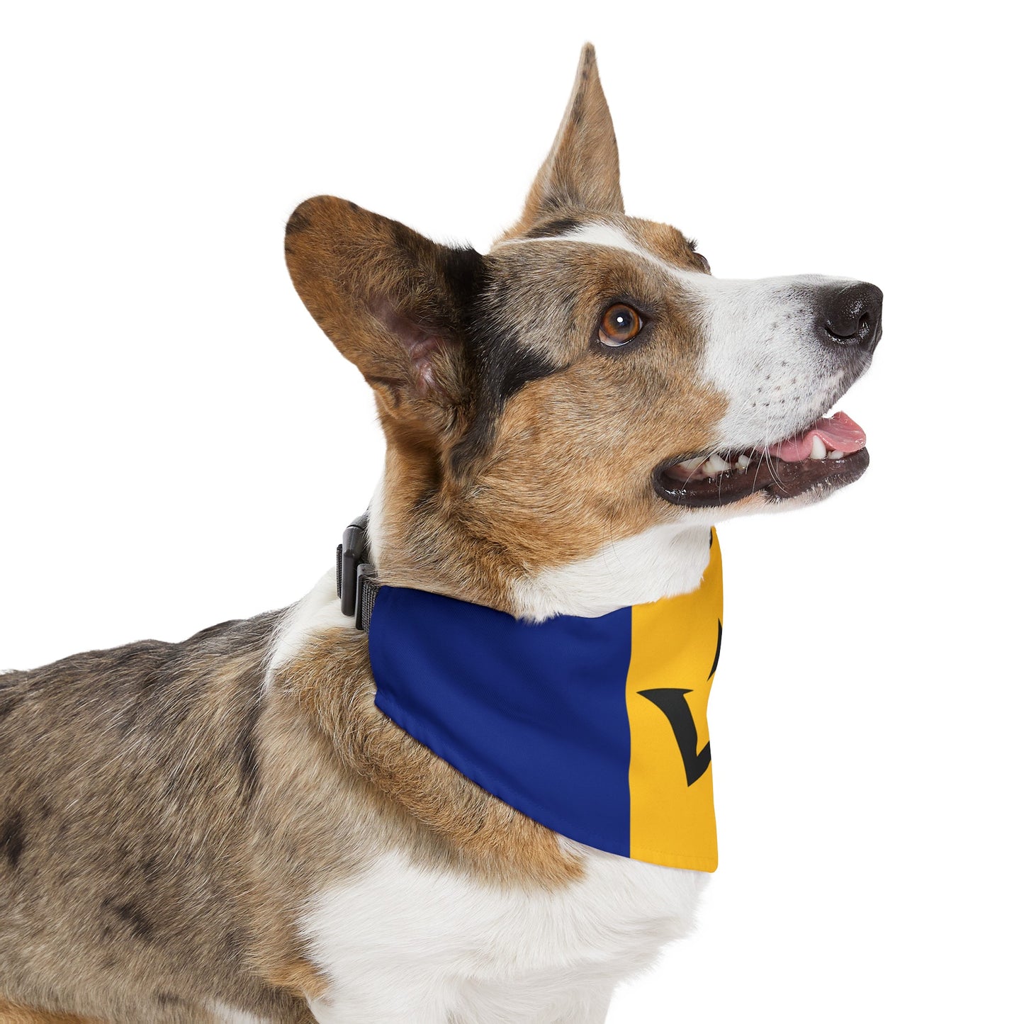 Barbados Flag Pet Bandana Collar | Bajan Dog Cat Animal