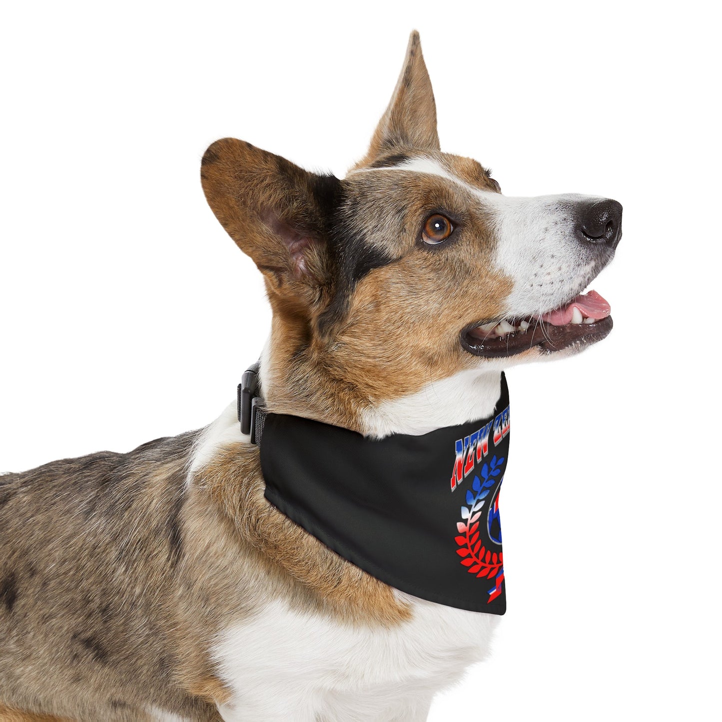 New Zealand 2024 Soccer Football Championship Games Kiwis Team Pet Bandana Collar