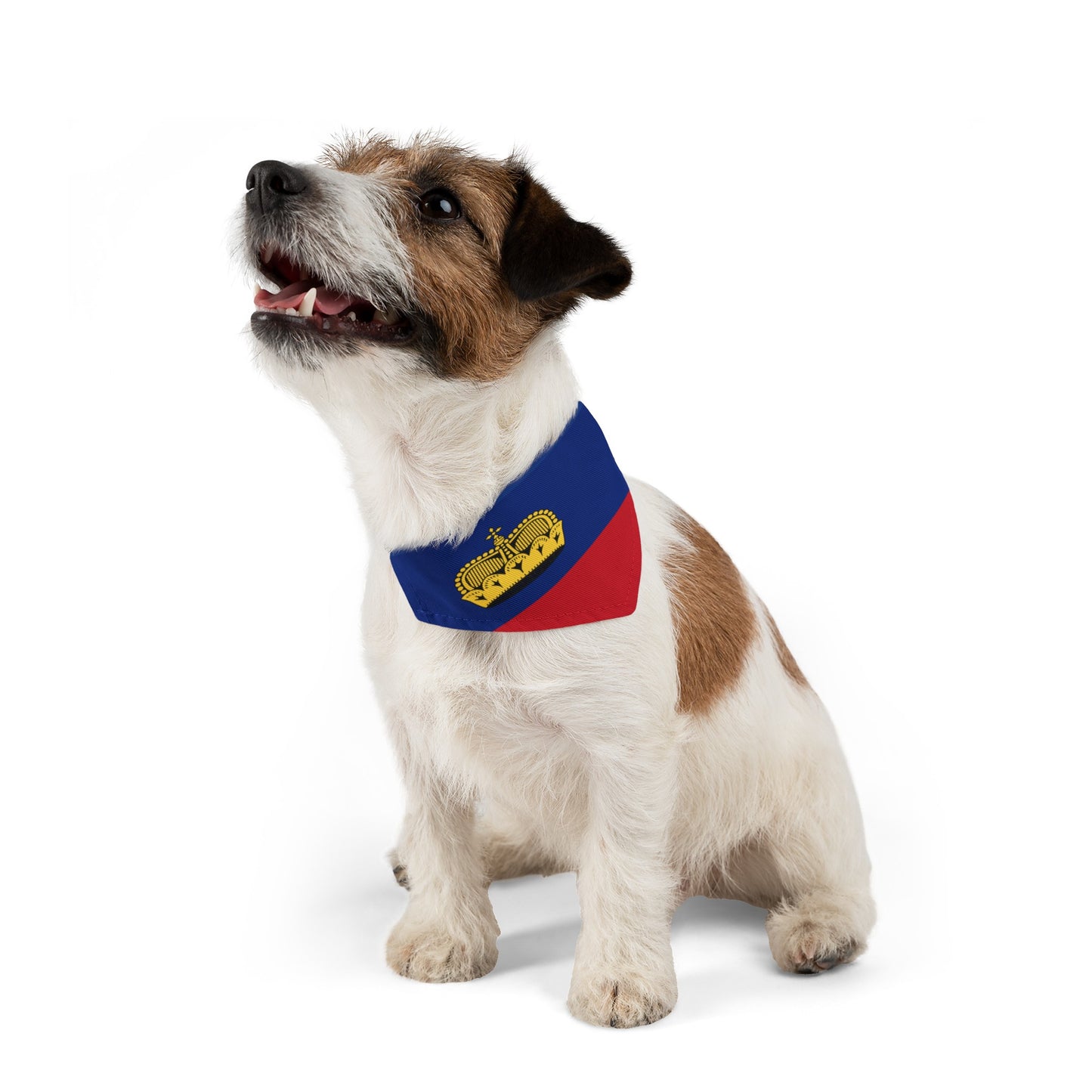 Liechtenstein Flag Pet Dog Cat Animal Bandana Collar