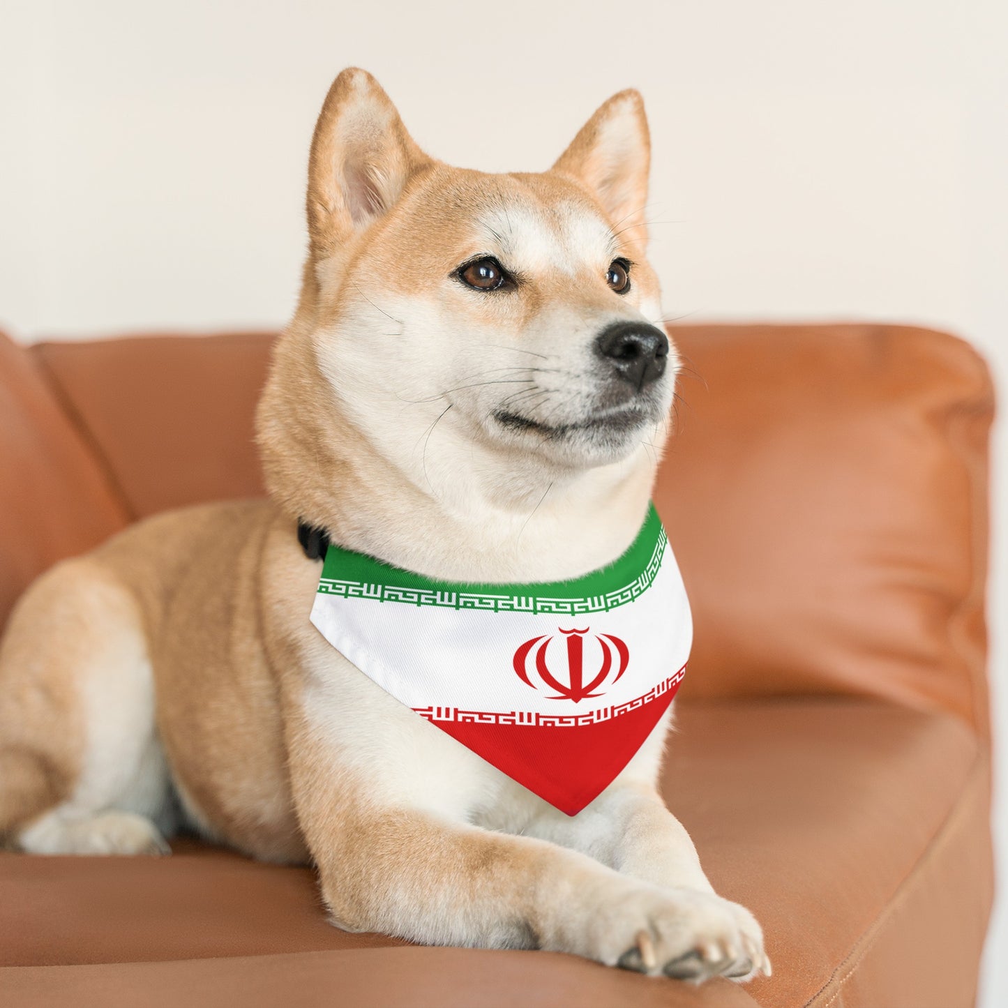 Iranian Pet Bandana Collar | Iran Dog Cat Animal