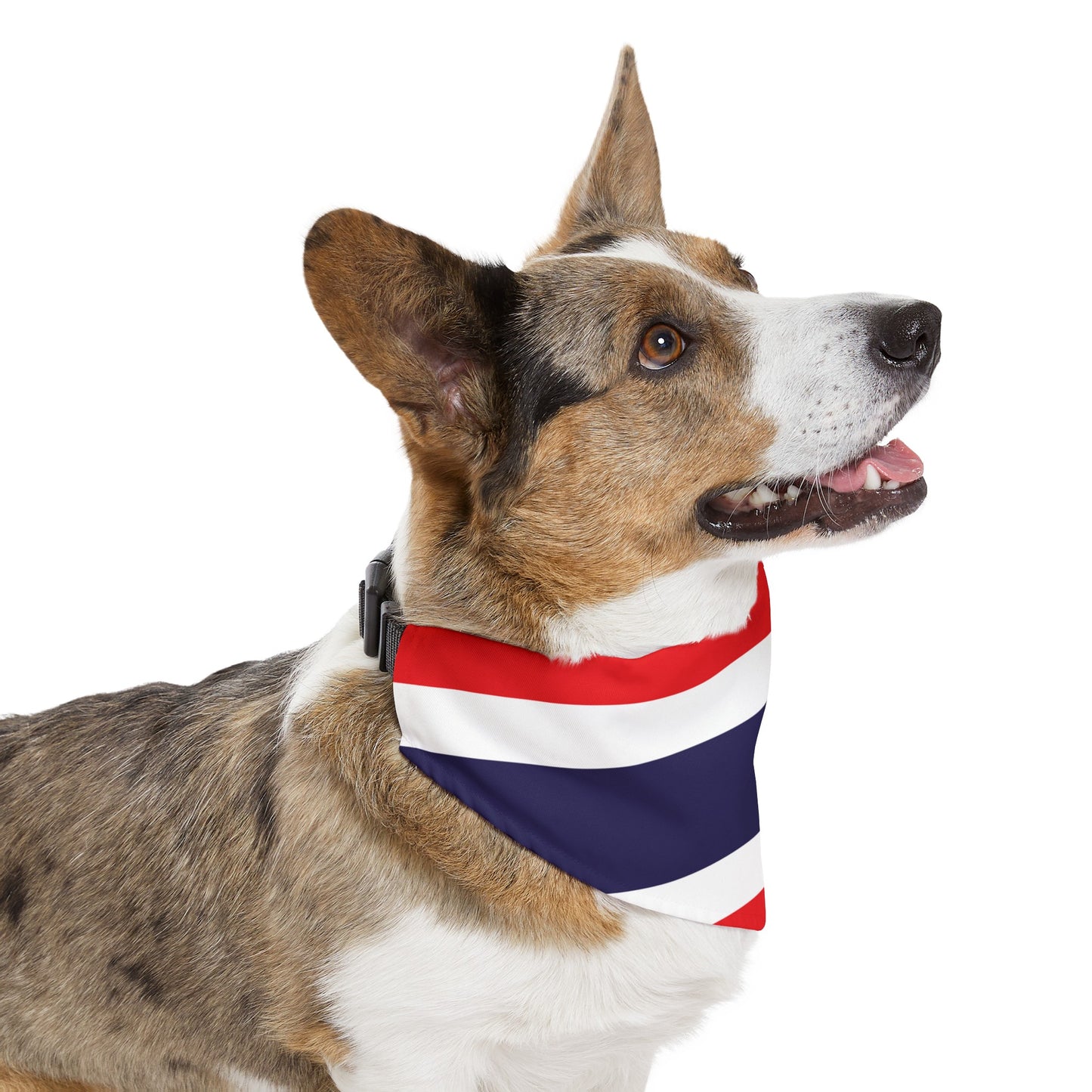 Thailand Pet Bandana Collar | Thai Flag Dog Cat Animal