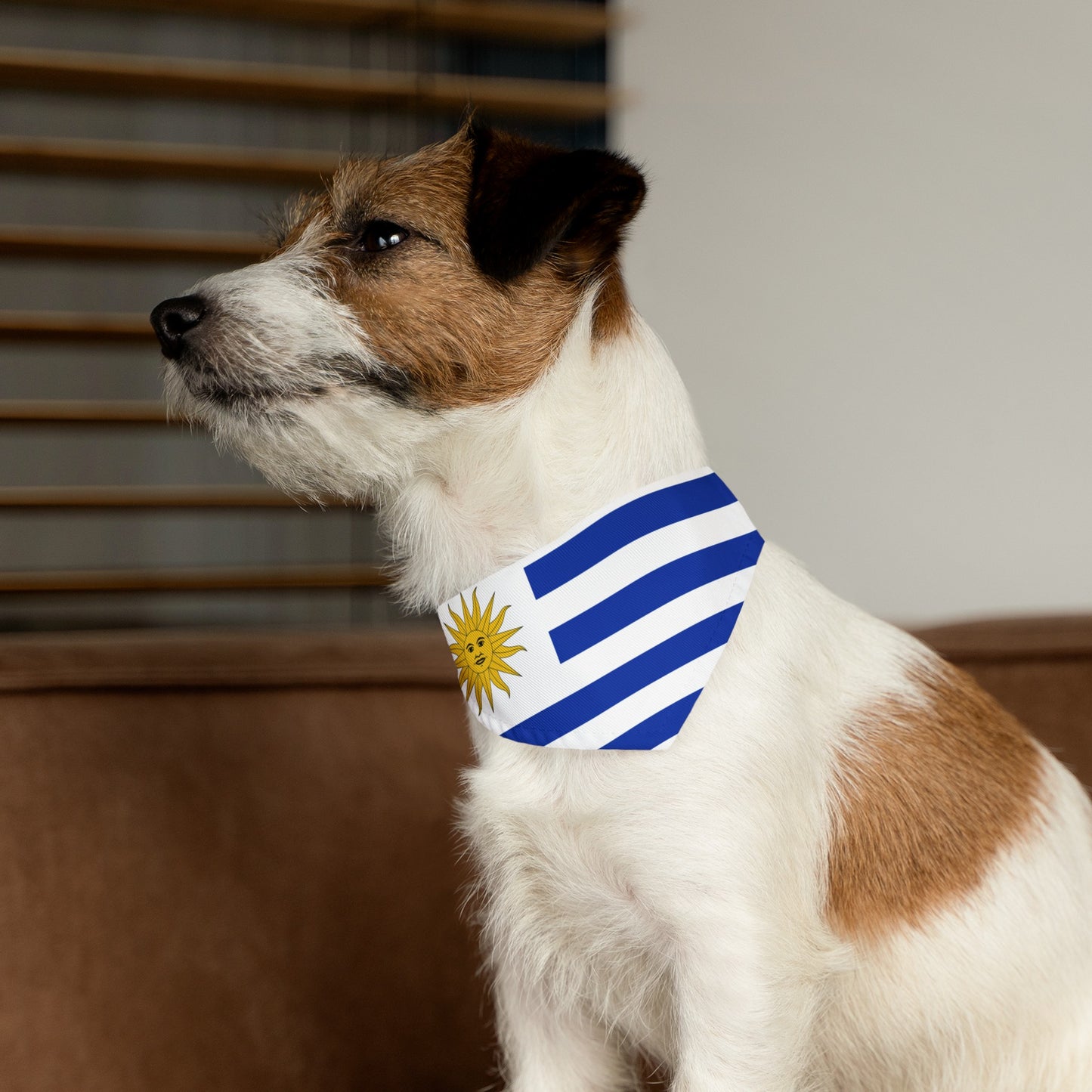 Uruguay Pet Dog Cat Animal Bandana Collar Uruguayan Flag