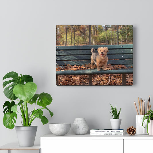 Autumn Dog Fall Foliage Canvas Gallery Wraps