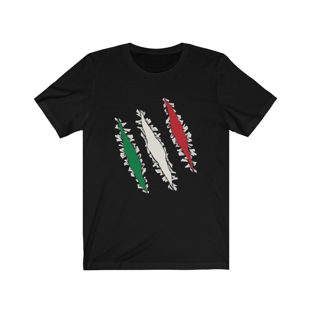 Slashed Italian Flag Shirt | Italy Tee Men Women Clothing