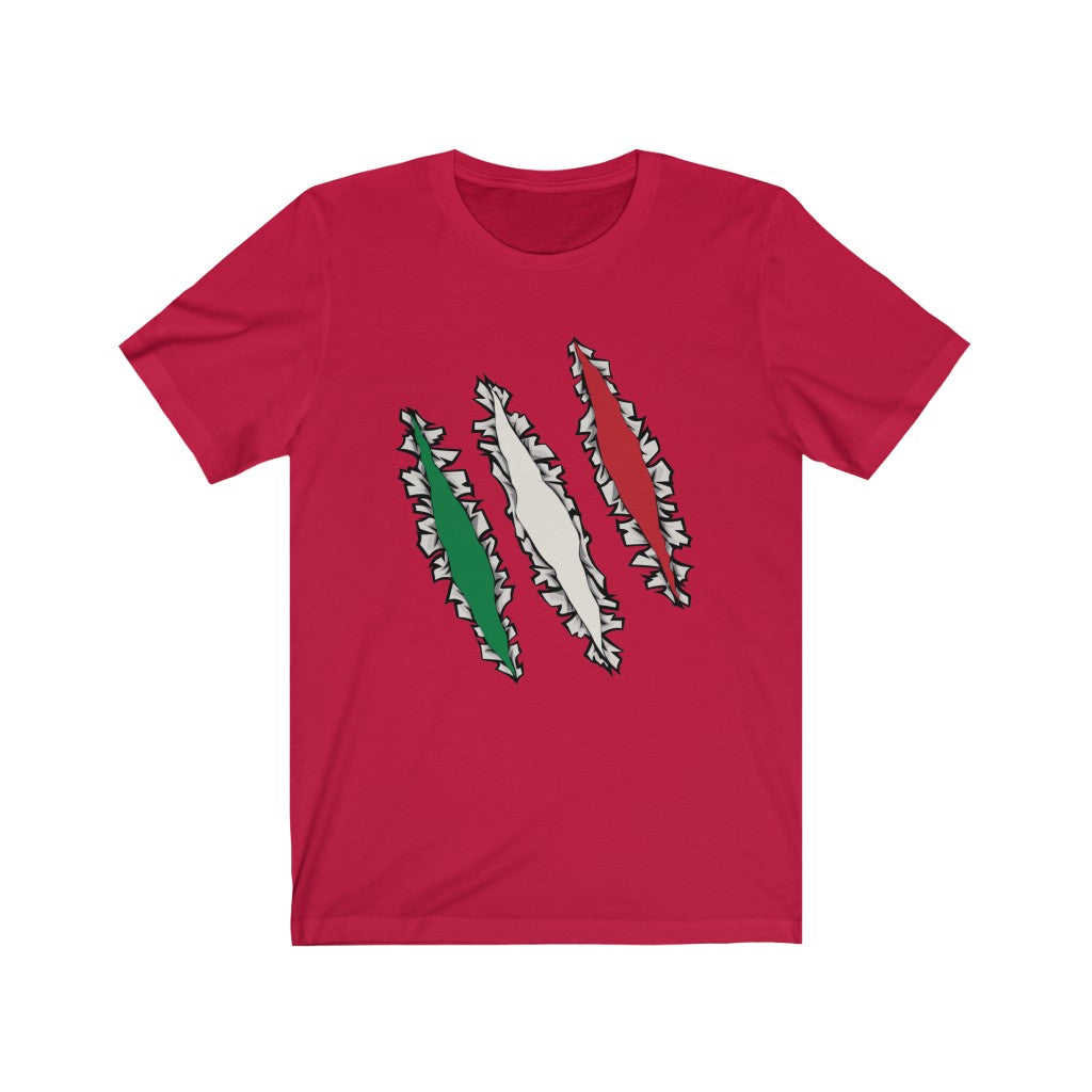 Slashed Italian Flag Shirt | Italy Tee Men Women Clothing