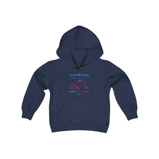 Kids Haiti Promoted to Big Sis 2022 Youth Hoodie | Haitian Sister