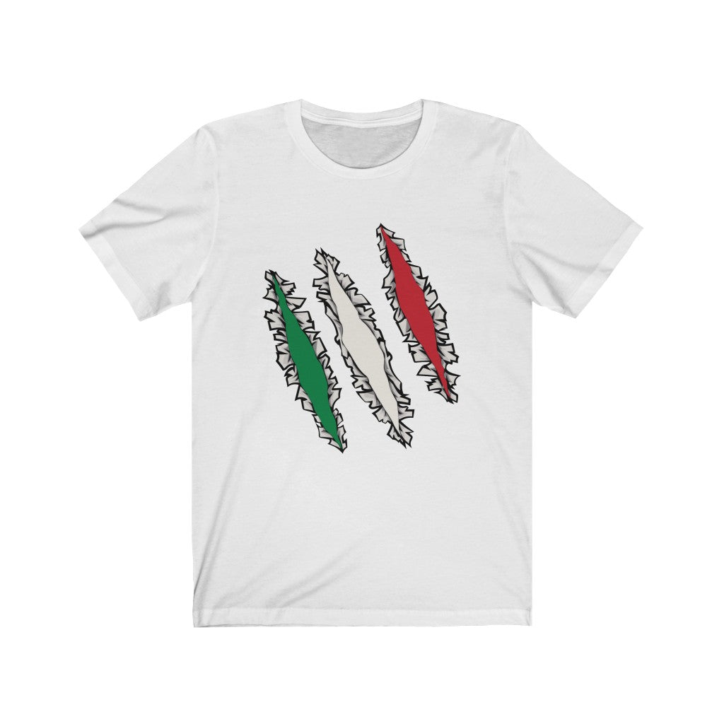 Slashed Italian Flag Shirt | Italy Tee Men Women Clothing