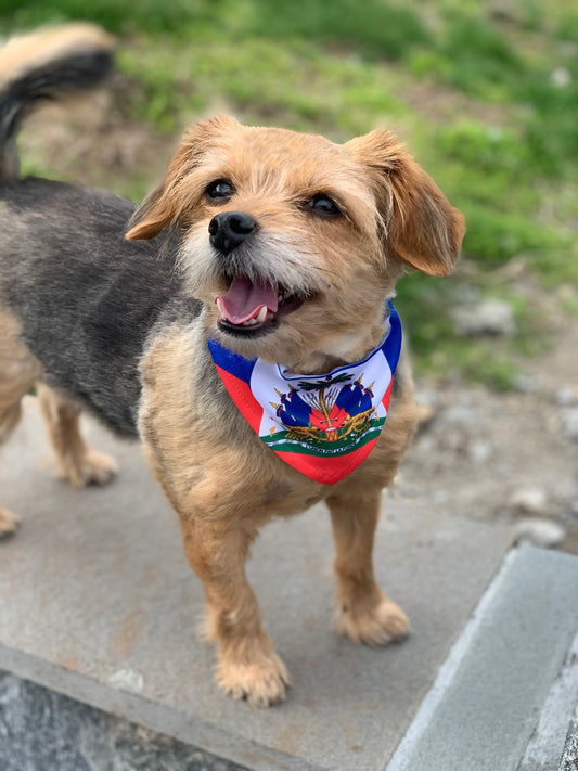 Haitian Flag Pet Bandana Collar | Haiti Dog Cat Collar